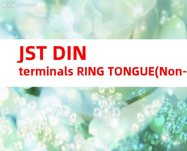 JST DIN terminals RING TONGUE(Non-insulated)系列 GS12-185产品规格书
